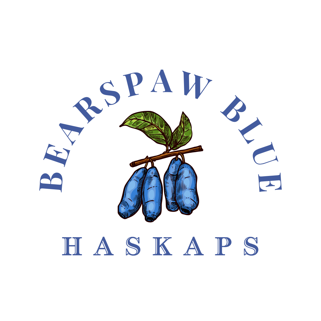 BEARSPAW BLUE HASKAPS